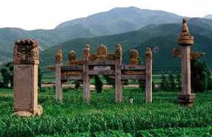 ܹĹ