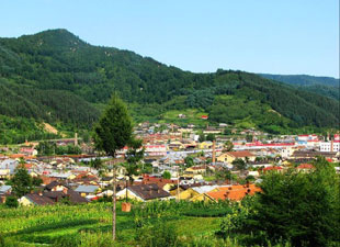 �����ض��������������֡�����ɽ����������������ӡ�������˫��8��